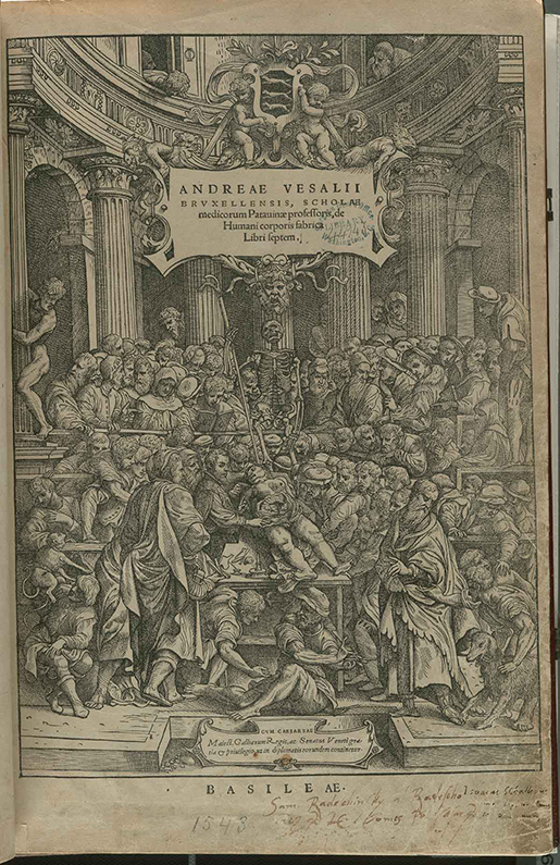 terminology-etymology-vesalius-de-corporis-humani-fabrica