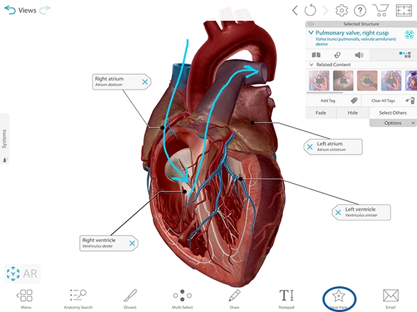 user-accounts-save-3d-draw