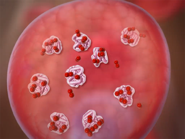 blood-cells-oxygen-hemoglobin