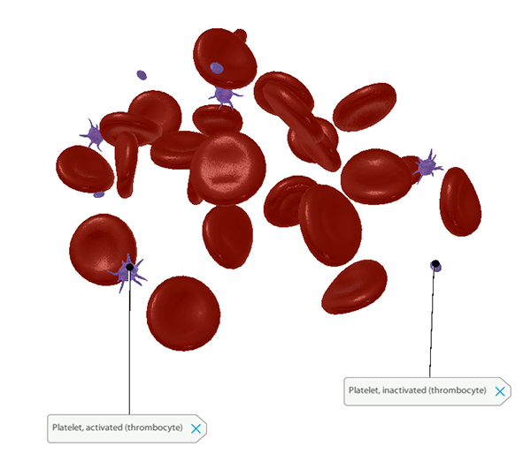 platelets-activated-inactivated-blog