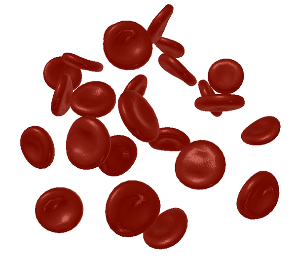 red-blood-cells-blog