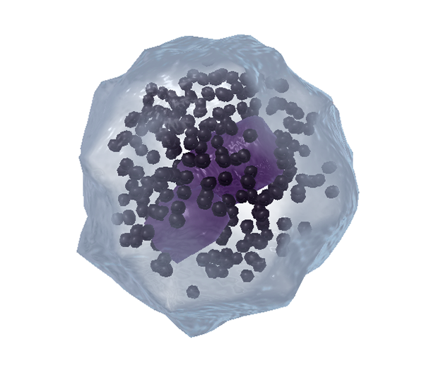 I Want to Know What Blood Is: A 3D Visual Field Guide to Blood Cells