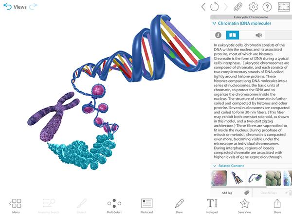 vbio-preview-screenshot-chromatin-web
