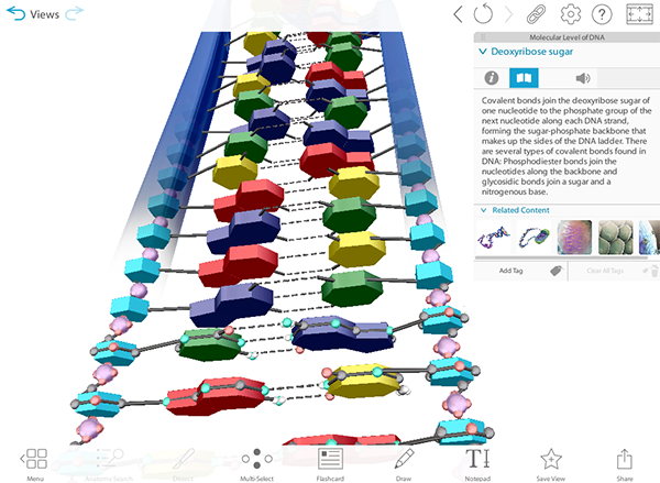 vbio-preview-screenshot-dna-molecular-web