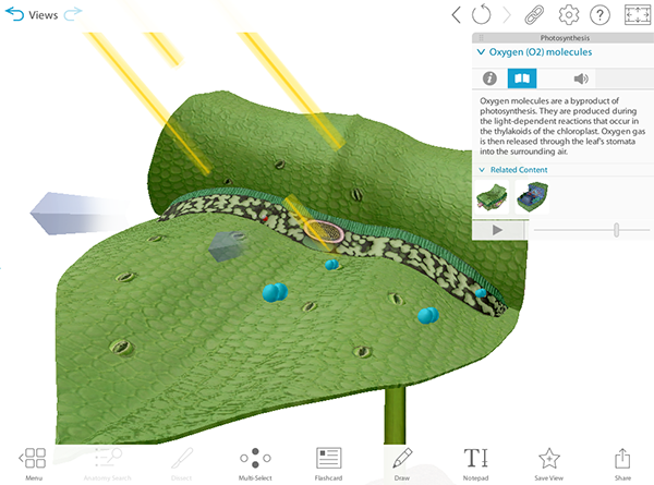 vbio-preview-screenshot-photosynthesis-web