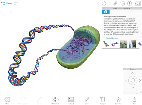 vbio-preview-screenshot-prokaryotic-chromosome-web