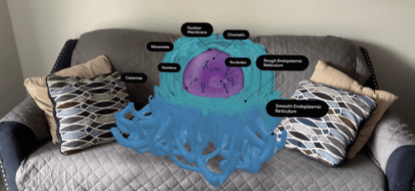 endoplasmic-reticulum-couch-ar