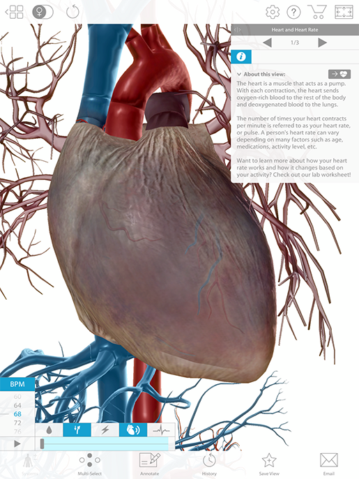 heart-lab-slider