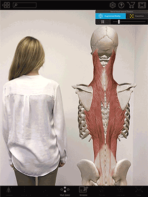 Lateral neck flexion
