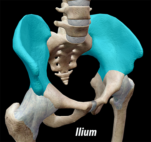 Ilium