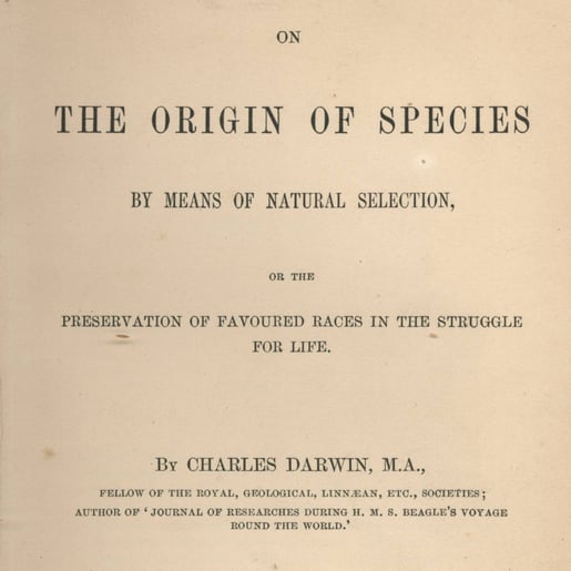 Origin_of_Species_title_page_ccexpress