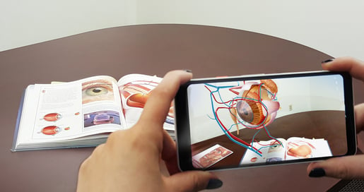 Augmented Reality Experience Available for Anatomy Lab Teaching and  Learning Using Android Devices