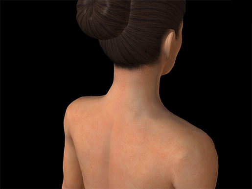 Anatomy and Physiology: Five Things About The Integumentary System