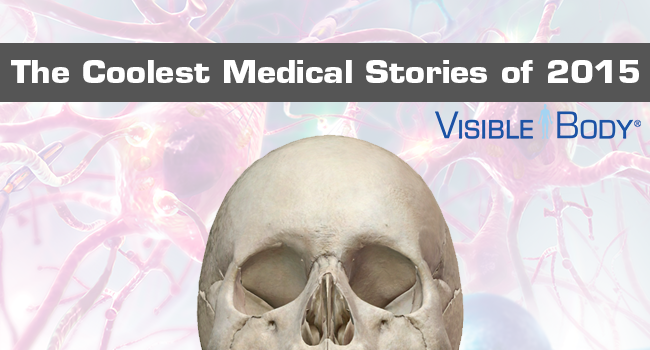 VB_Stories2k15-banner.png