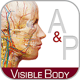 anatomy_and_physiology_160