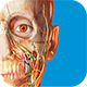Human Anatomy Atlas app for higher education students