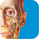 Learn more about the Human Anatomy Atlas App