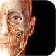 Visible Body Suite icon