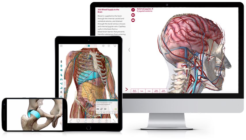 visible body app mac visible body app mac