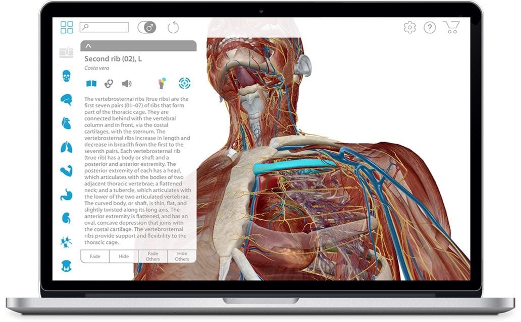 3D Muscle Premium 2 Ipa Download 3D Muscle Premium 2 Ipa Download