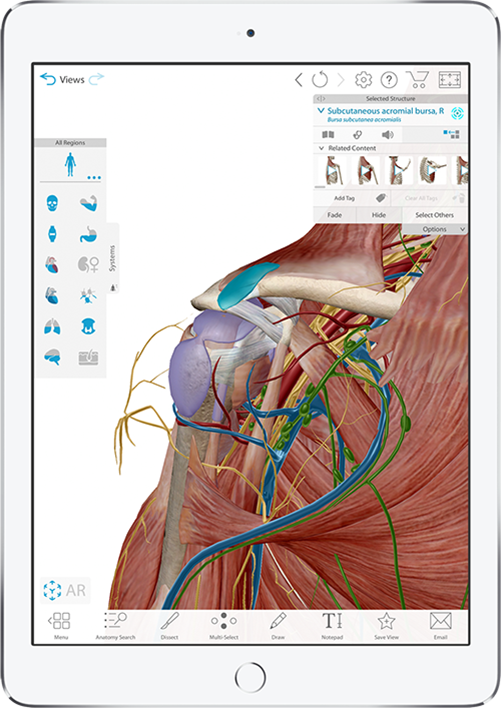 human anatomy atlas 2017 edition for mac human anatomy atlas 2017 edition for mac