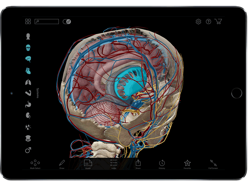 Human Anatomy Atlas gives students easy access to any 3D view of human anatomy and physiology at their fingertips