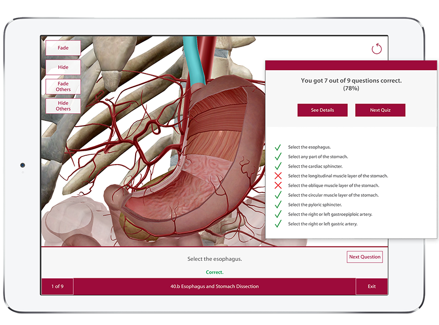 Learning assessment is made easy with interactive quiz questions right on the 3D models