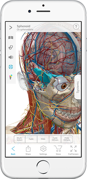Human Anatomy Atlas - Visual 3D gross and micro anatomy atlas