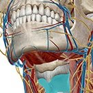 Body Facts and Fiction eBook download