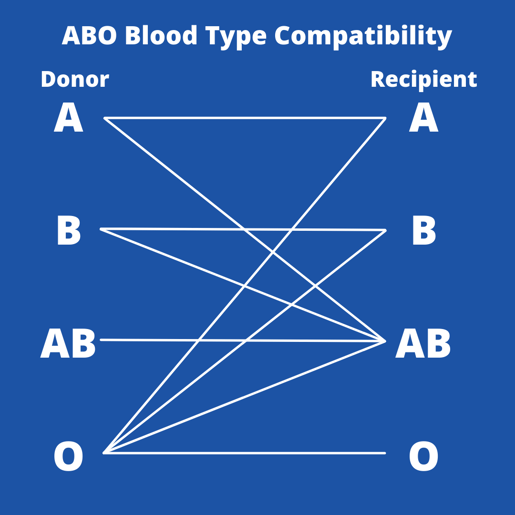 blood type compatibility (3)