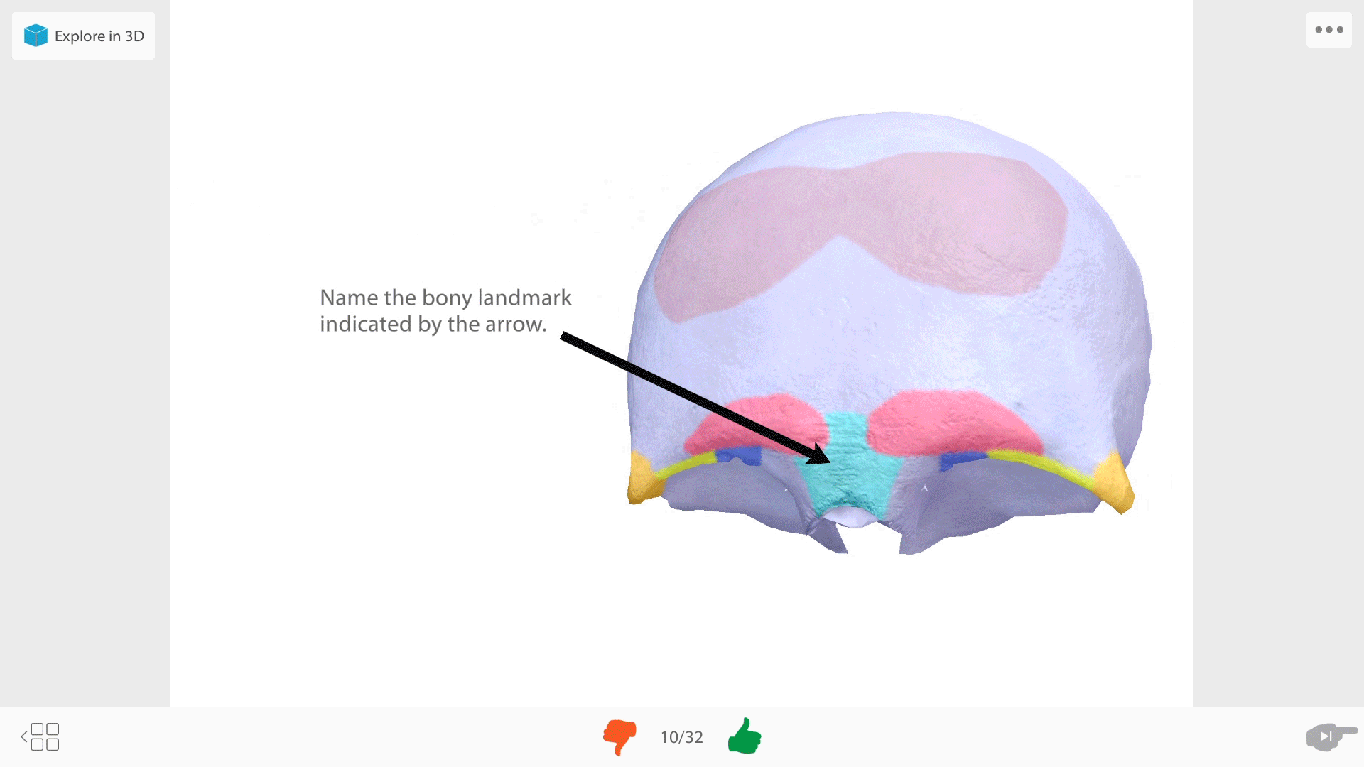 bony-landmark-flashcards