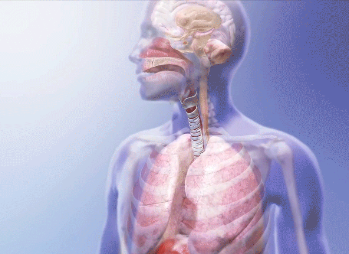 breathing-gif-2