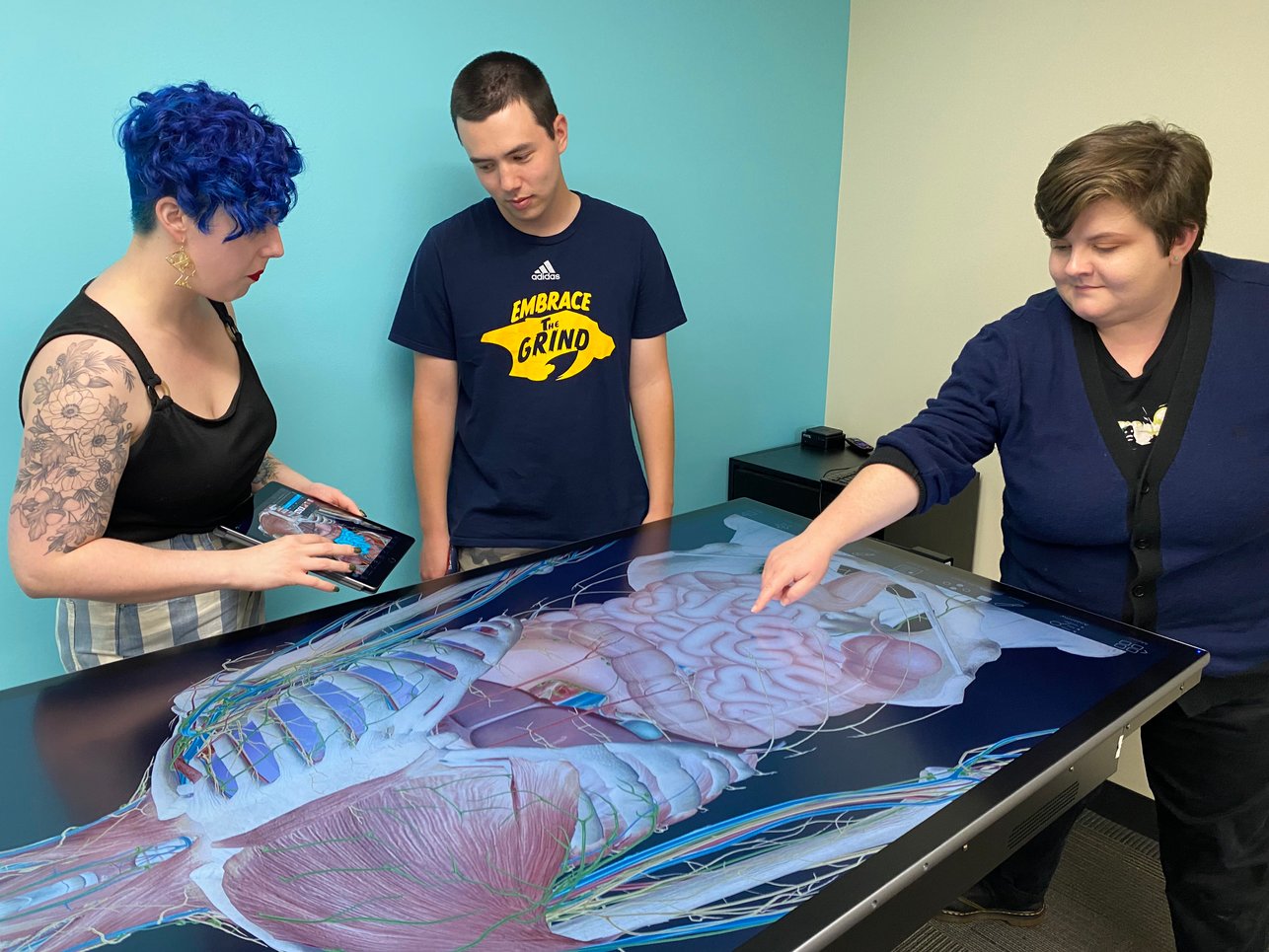 Is Visible Body Courseware a Good Alternative to an Anatomage Table?