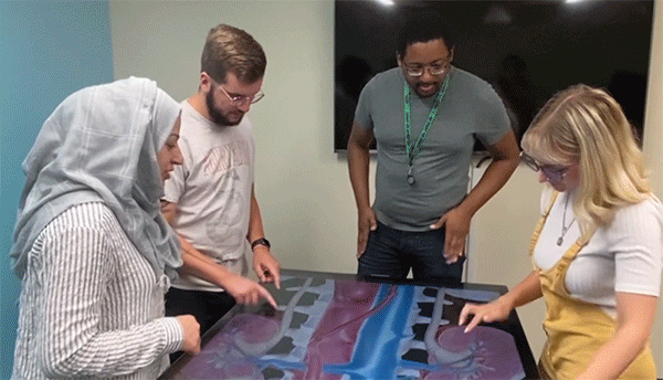 Is Visible Body Courseware a Good Alternative to an Anatomage Table?