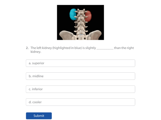 directional term quiz kidney