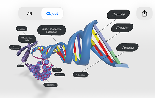 dna-model-screenshot