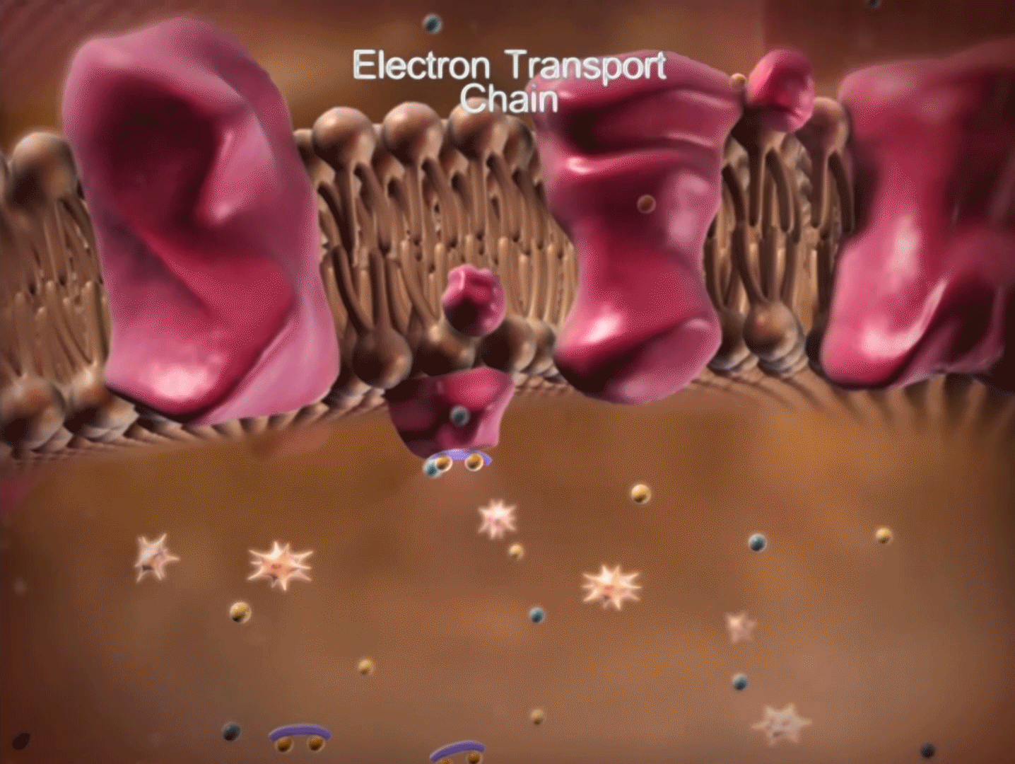 electron-transport