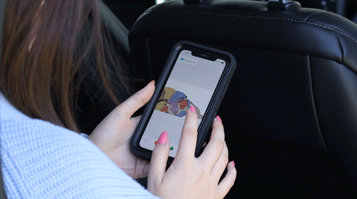 flashcard-in-car