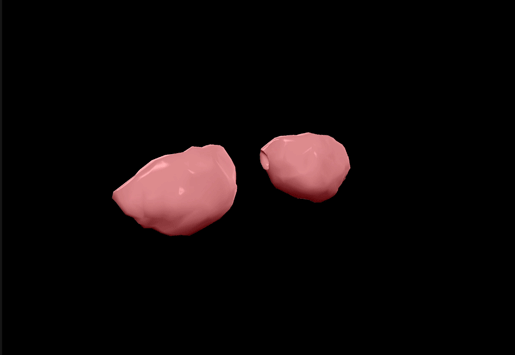frog-lungs