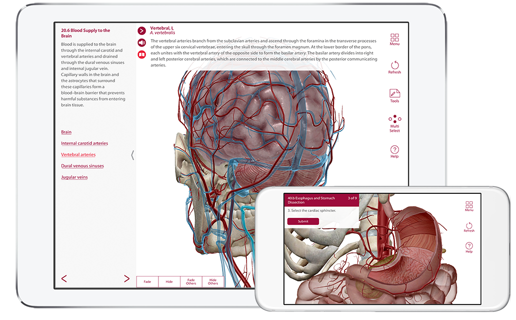 ap-product page-phone tablet-en