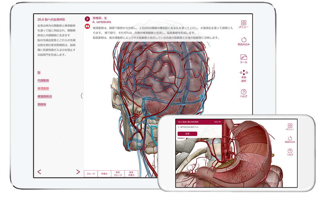 ap-product page-phone tablet-ja