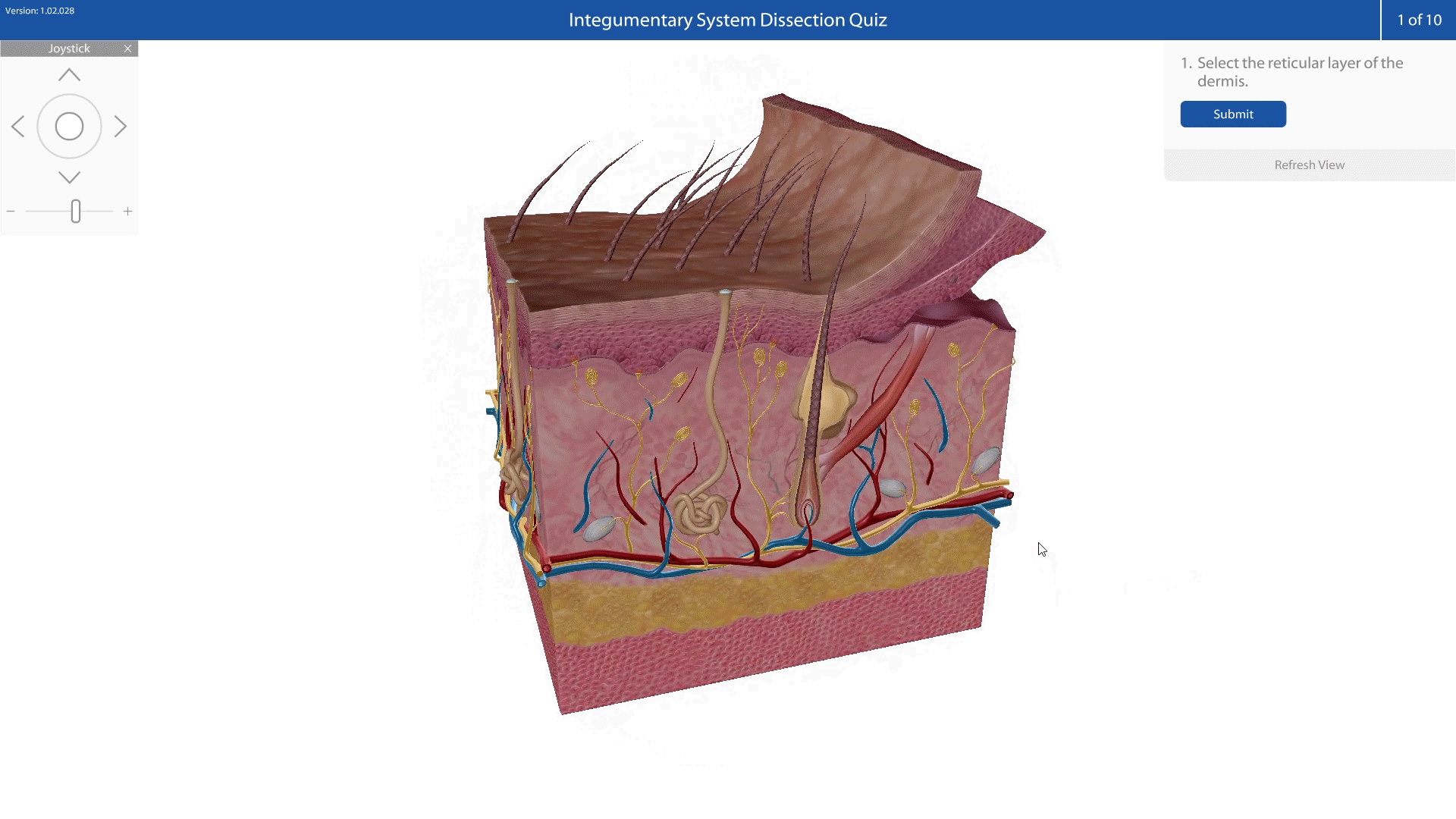 integumentary-system