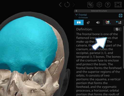 listen-button-click2-gif