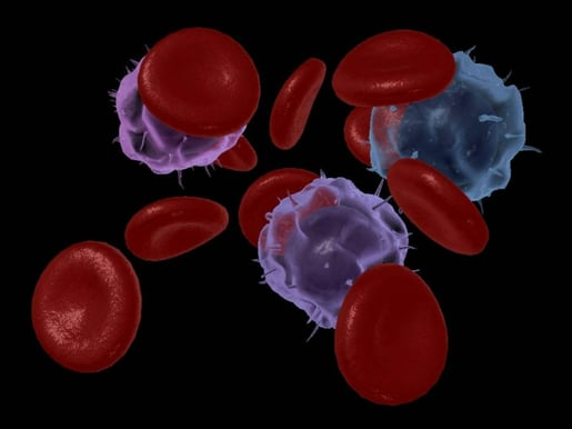 lymphoid white blood cells