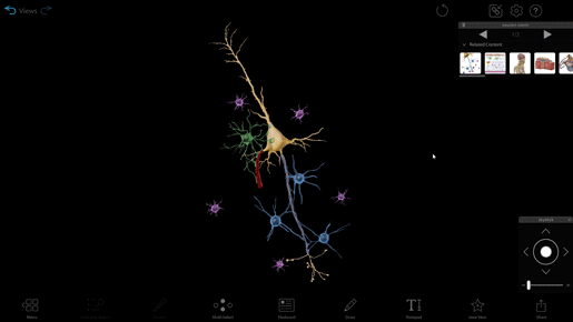 neuron-model-gif