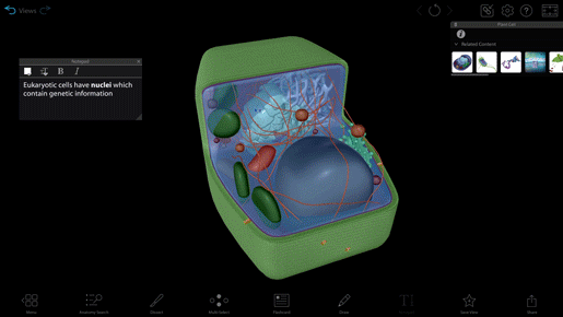 nucleus-cell-dissect