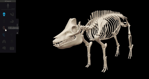 pig-systems-tray