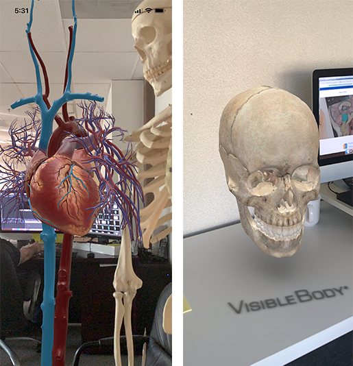 VB-in-augmented-reality-web-search