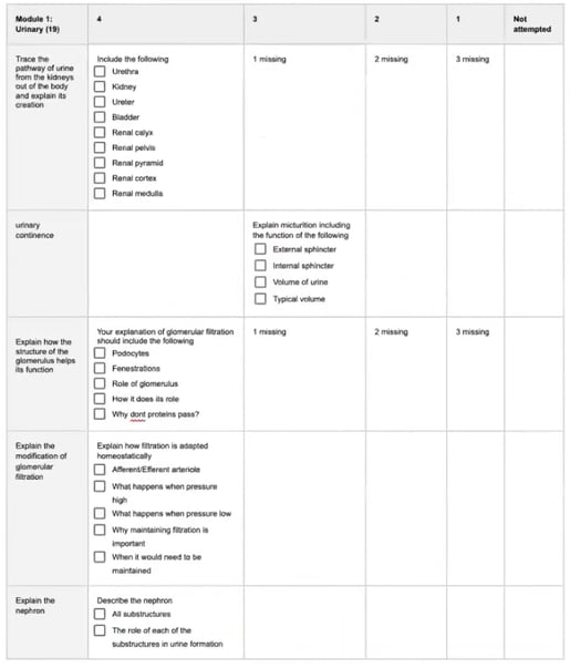 sample rubric