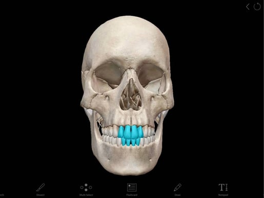screenshot - 2023-10-02T095058.510 (1)